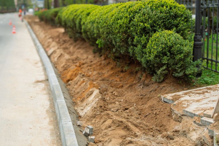 Freshly dug landscaping