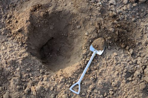 A shovel lies in the dirt