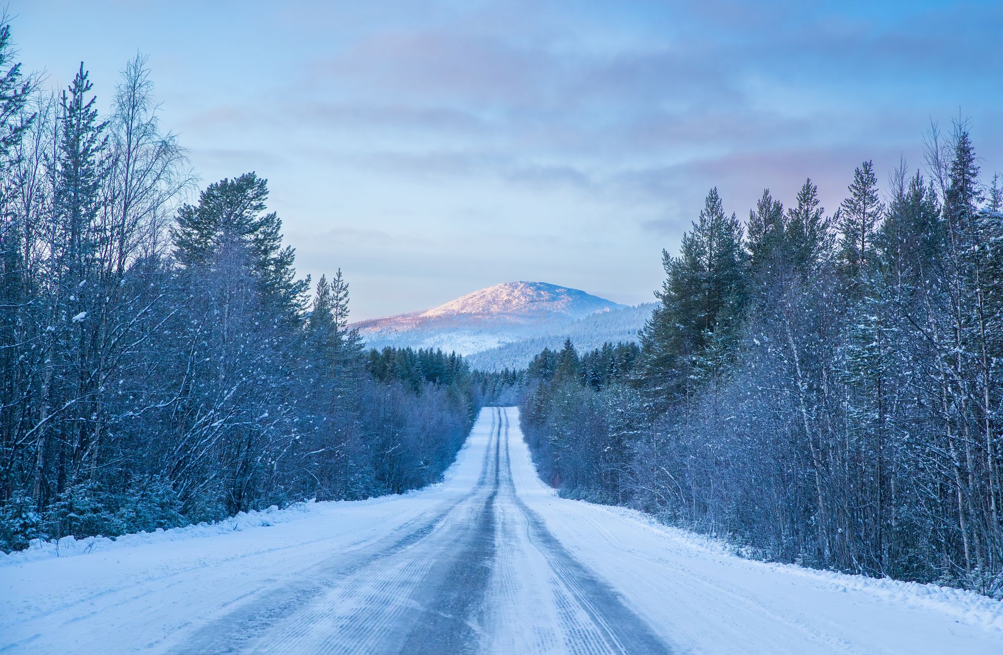 A snowy path between trees