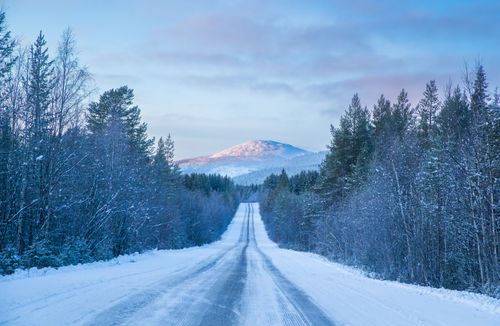 A snowy path between trees