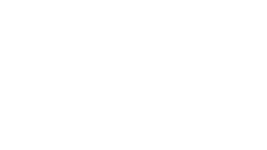 Pratissoli Logo