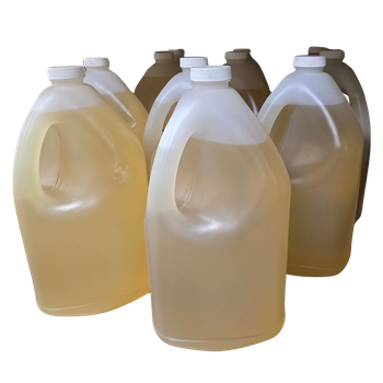 Cat Pump Oil